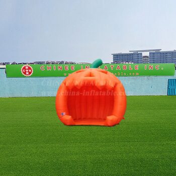 Inflatable Pavilion