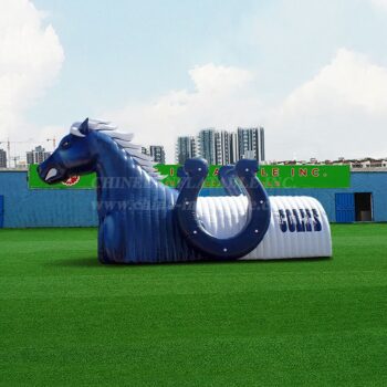 Inflatable Pavilion